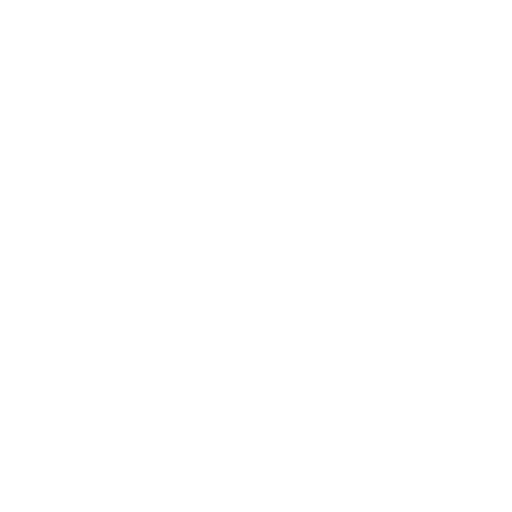 Key Activities